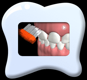 Animation showing a tooth brush brushing the outer surfaces of upper teeth.
