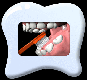 Animation showing a tooth brush brushing the chewing surfaces of lower teeth.
