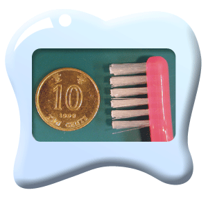 Photograph of a child toothbrush head with its length similar to the diameter of a Hong Kong 10-cent coin.