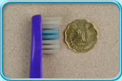 Photograph of a tooth brush head comparing with the diameter of a Hong Kong 20-cent coin.