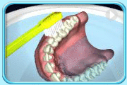 Animation showing the cleaning of denture with toothbrush.