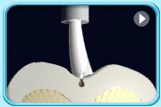 Animation of the longitudinal section of a tooth showing the deep and narrow fissures on its crown.