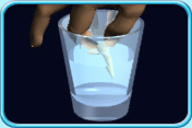 圖中所見是把碰掉的牙齒放進半杯清水內。