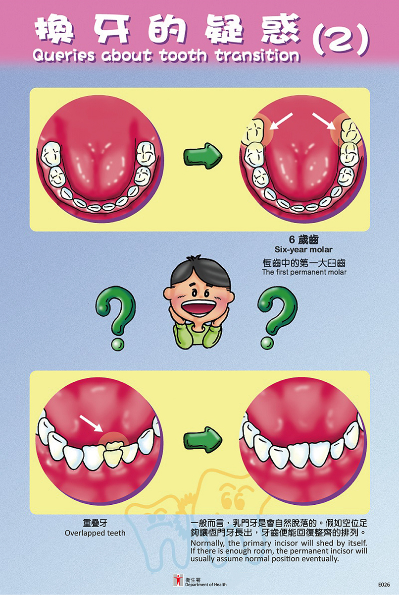 換牙的疑惑2