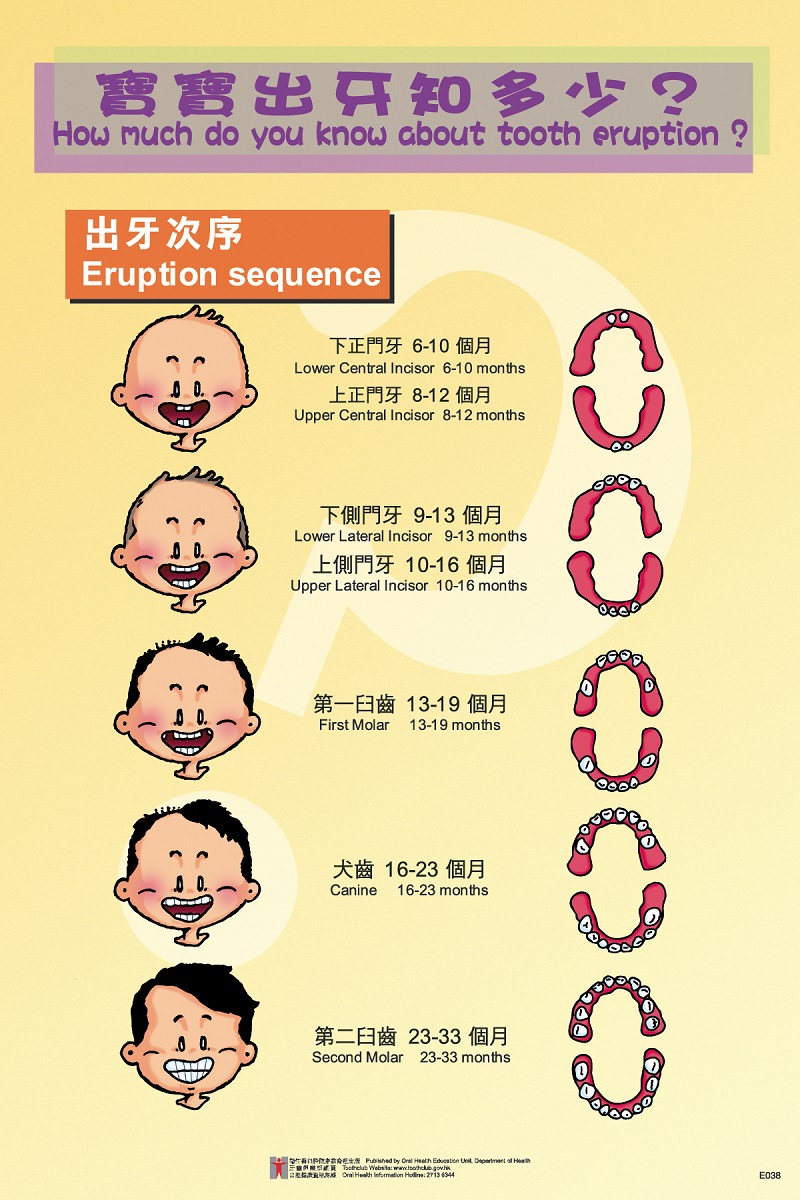 寶寶出牙知多少