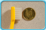 Photograph of a toothbrush head comparing with the diameter of a Hong Kong 10-cent coin.