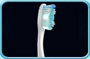 Photograph of a toothbrush head in cup shape.