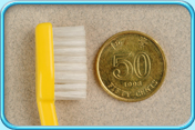 Photograph of a tooth brush head comparing with the diameter of a Hong Kong 50-cent coin.