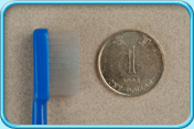 Photograph of a tooth brush head comparing with the diameter of a Hong Kong one-dollar coin.
