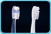 图中所见是两支刷头顶端毛束特长的牙刷刷头。