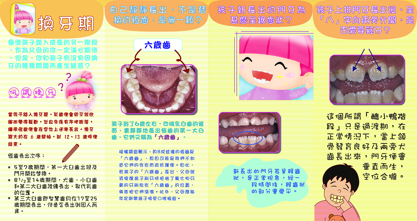 換牙的疑惑（第二頁）